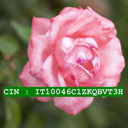 ראפאלו Villa Olimpo מראה חיצוני תמונה